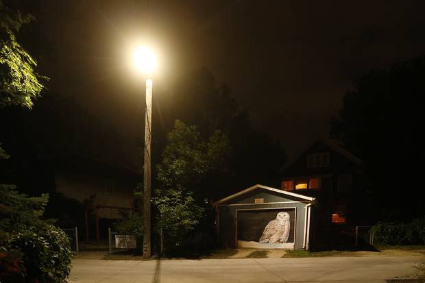 This owl is one of 11 Arctic animals painted by Kal Barteski.