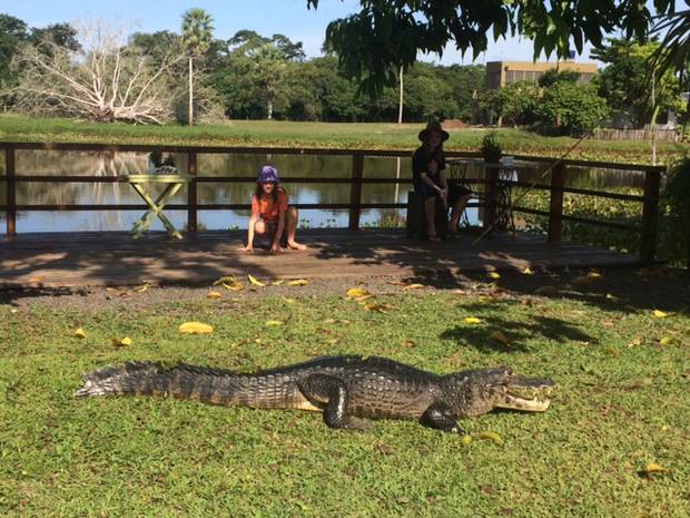 The kids encounter a caiman.