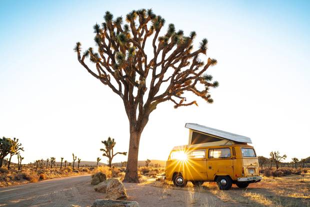 James Barkman's 1976 Volkswagon Westfalia in Joshua Tree National Park, California