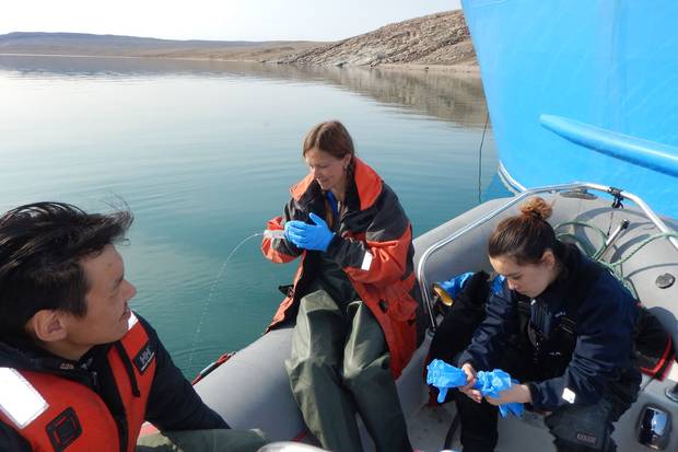 Kim Howland, a research scientist with Fisheries and Oceans Canada, is exploring how climate change could bring invasive species that would transform Arctic waters.