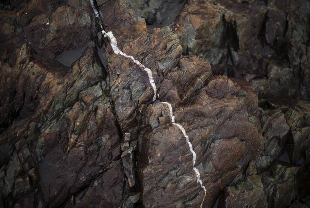 Raw granite in Fogarty’s Cove. The planned quarry project would supply road material from Virginia to Florida.