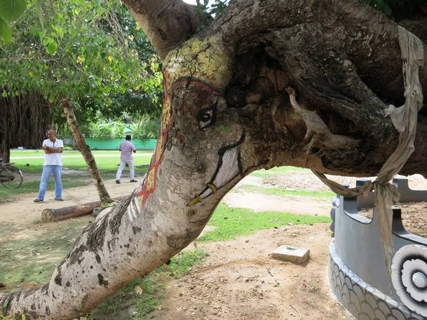 A tree painted to look like an elephant beside the Piliyar temple in Atchuvely. The temple was built to honour Piliyar, the elephant-faced god.