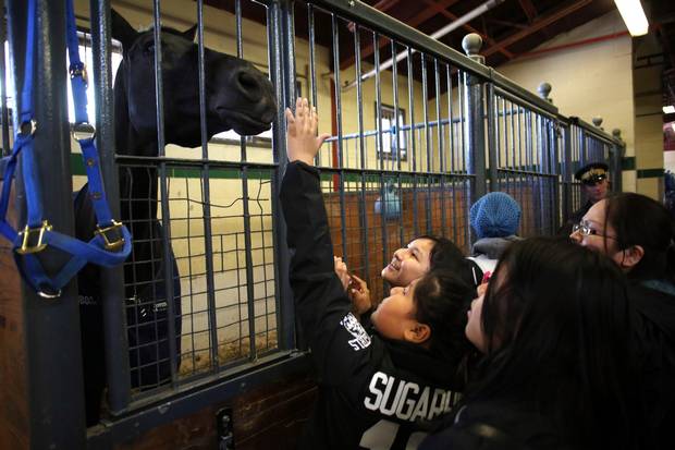Plays pets a horse at the RCMP Musical Ride Centre stable in Ottawa.