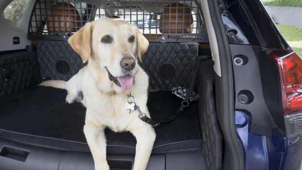 The dog bed in the rear cargo area, removable and secure, with added comfort provided by cargo heating vents. 