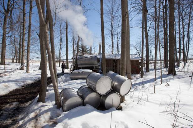 Maple syrup product making operation, in Beachville, Ont.