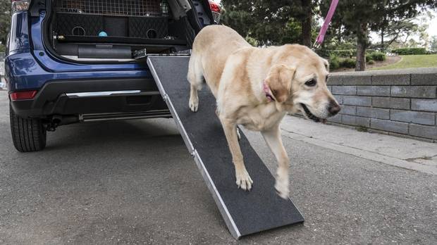 The slide-away ramp makes for easy access to the rear compartment, suited to small or elderly dogs. The ramp fits into a drawer built into the the rear compartment’s raised floor.