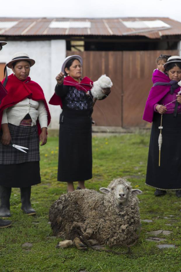 In Pulingui, Me to We's artisans are skilled at sheep shearing.