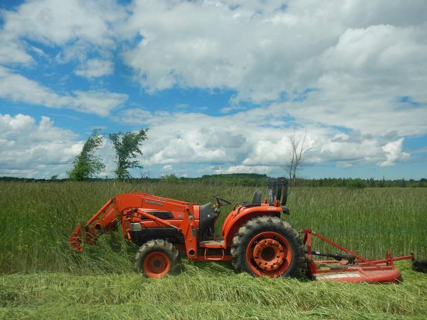 A tractor sits on Brent Preston's farm located north of Shelburne, Ont. Preston and his wife, Gillian Flies started their organic farm more than a decade ago and he says one of the main difference between an organic farm and a conventional one is the way the farmers treat the soil. Preston and Flies plant crops over a large section of their land specifically to die and feed the soil. 