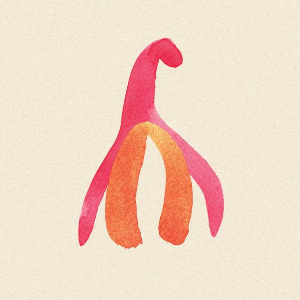 The clitoris in full: It includes not just the external hood and glans but a sizable network of bulbs and roots beneath the skin.