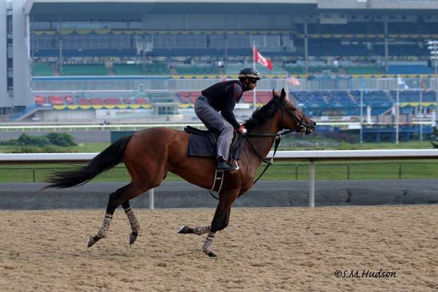 Darren Fortune riding Evil Woman.