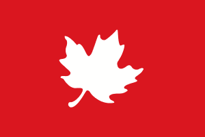 The Globe and Mail logo