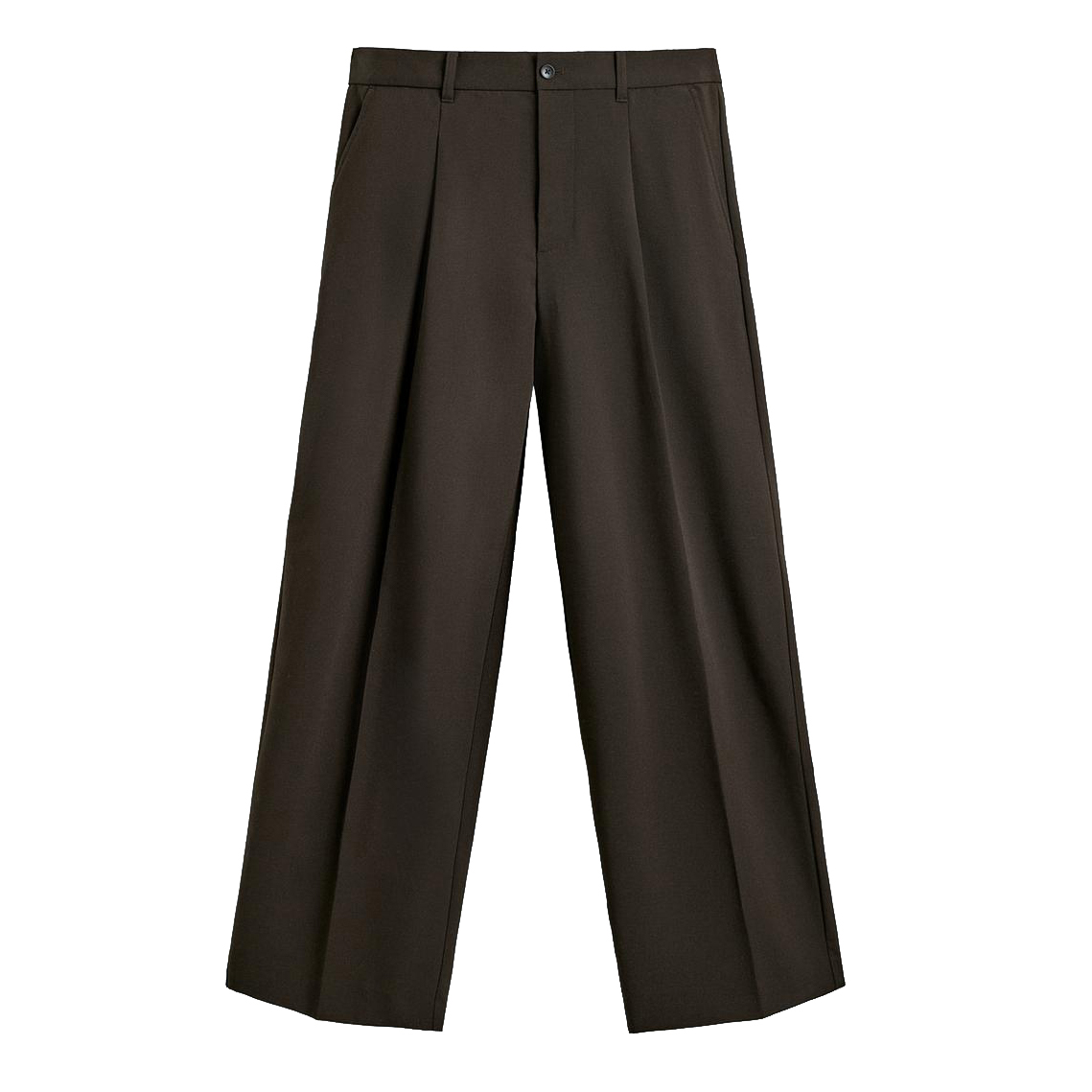 Zara Pleated Pants