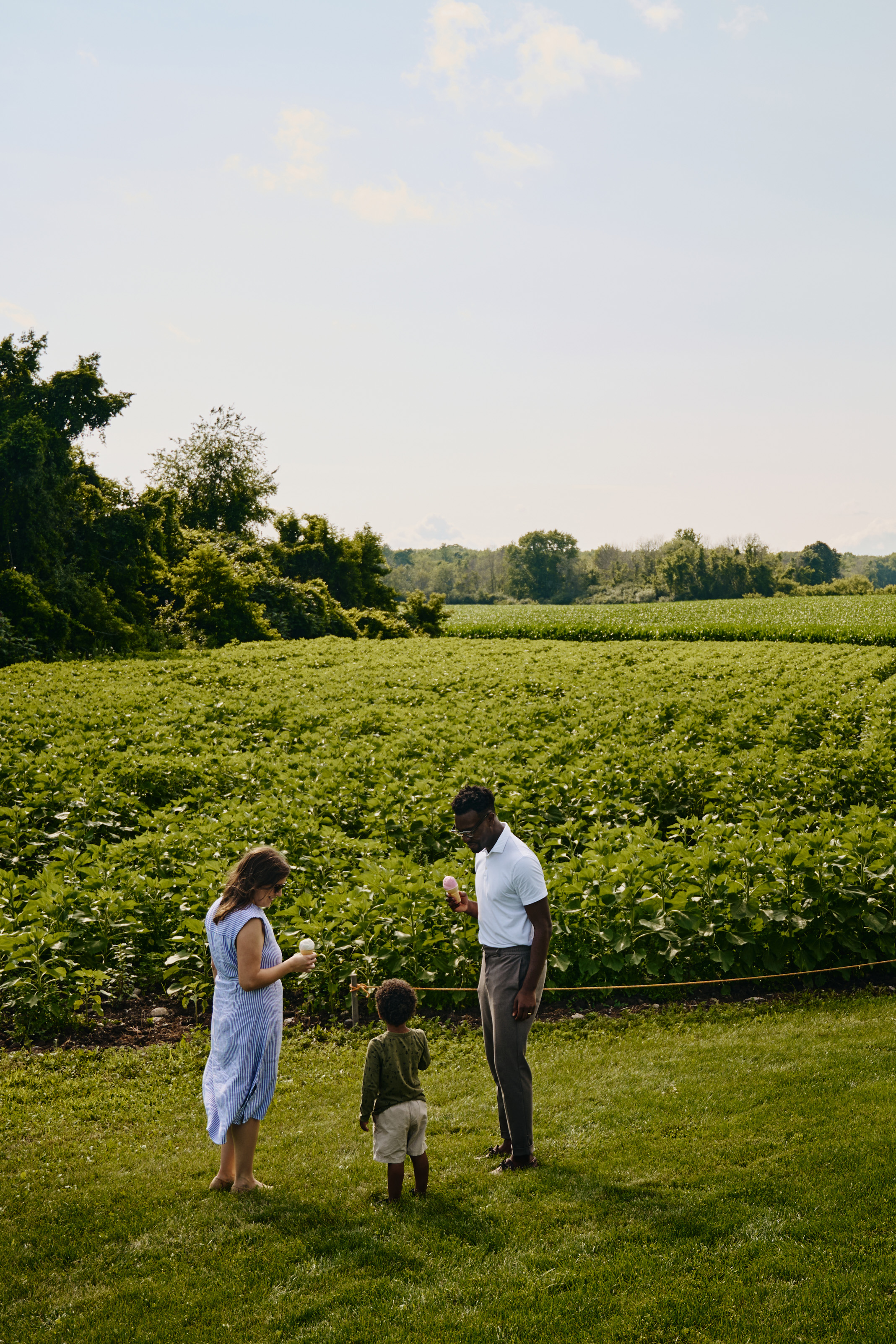 Sunflower Fields Ice Cream Shoppe in Prince Edward County, Ontario