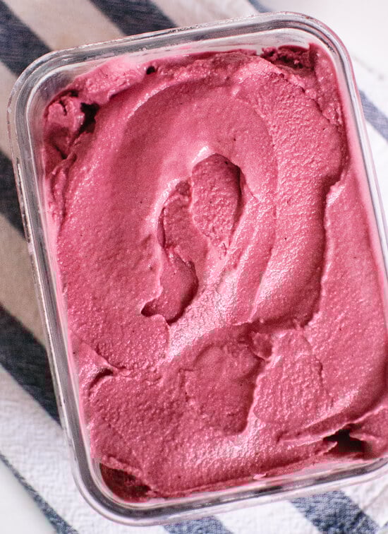 Blueberry frozen yogurt recipe