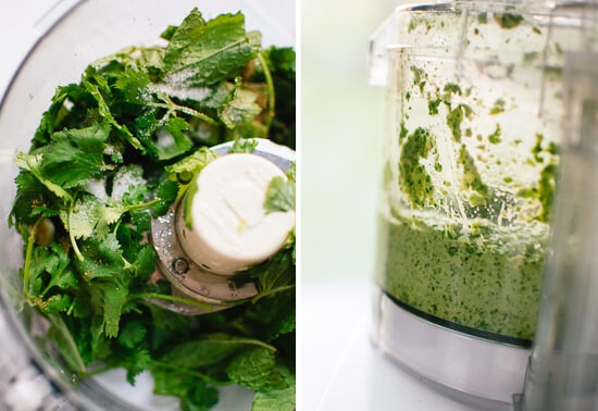 Avocado green harissa