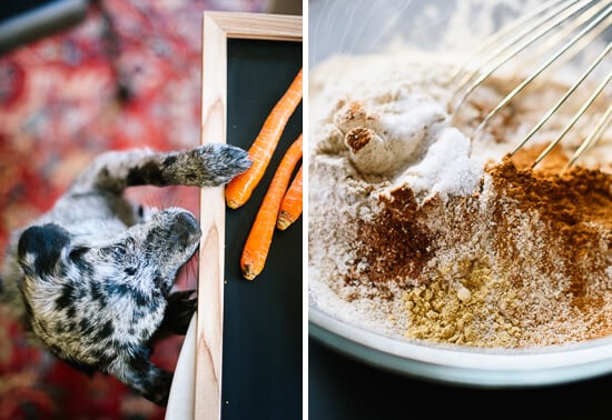 carrot muffin spices