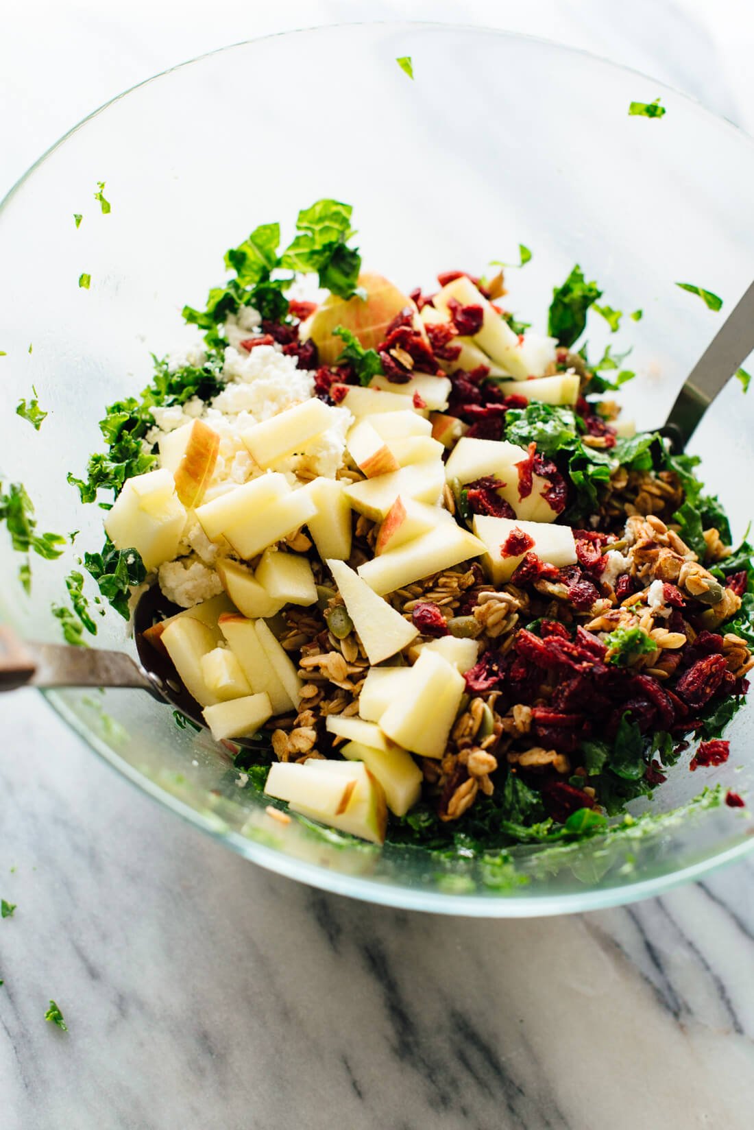 This kale, apple and goat cheese salad is perfect for fall. The nutty granola croutons set this salad apart from the rest!
