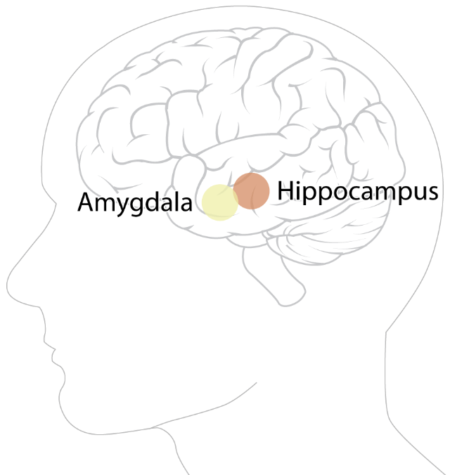 Trish McAlaster/The Globe and Mail