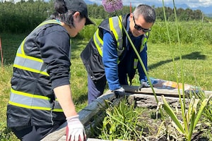 IKEA Canada co-workers in Vancouver tend to the on-site garden.