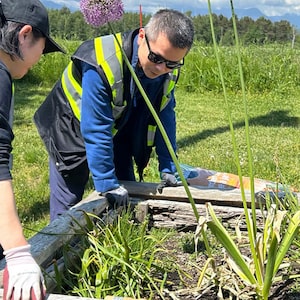 IKEA Canada co-workers in Vancouver tend to the on-site garden.
