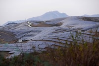 A solar farm in northern China's Hebei province in 2023. China leads the world in battery, solar and electric-vehicle exports.