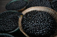 A bird eats an acai berry from a basket on the boat of merchant Evandro Santos, 38, resident of the riverside community of Sao Jose, in Melgaco, southwest of Marajo Island, state of Para, Brazil, on June 11, 2020.