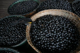 A bird eats an acai berry from a basket on the boat of merchant Evandro Santos, 38, resident of the riverside community of Sao Jose, in Melgaco, southwest of Marajo Island, state of Para, Brazil, on June 11, 2020.