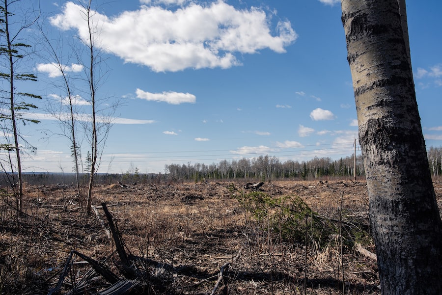  A vast plot of land in the municipal district of Greenview, Alta, is the potential site for "Wonder Valley," what would be the largest AI data centre complex in the world.