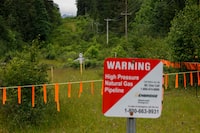 A scarecrow is set in the clearing around an Enbridge BC buried natural gas pipeline in Hope, British Columbia, Canada, June 6, 2021. (Photo by Cole Burston / AFP) (Photo by COLE BURSTON/AFP via Getty Images)