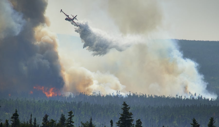 When wildfires erupted this month at Paddy’s Pond, near St. John’s, water bombers from other provinces came to help. That fire is now under control, and other active blazes are subsiding.