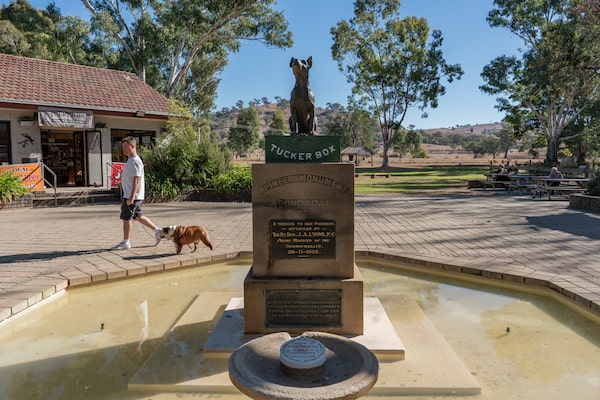 The Dog on the Tucker Box, while not particularly big, is also a popular roadside attraction in New South Wales.