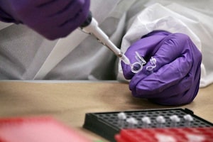 Undercover police investigating the murder of a 13-year-old girl in British Columbia disguised themselves as tea marketers to secretly collect the DNA of about 150 Kurdish community members, court recordings reveal. DNA testing is preformed at a lab in New York, Tuesday, April 15, 2014. THE CANADIAN PRESS/AP-Bebeto Matthews