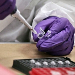 Undercover police investigating the murder of a 13-year-old girl in British Columbia disguised themselves as tea marketers to secretly collect the DNA of about 150 Kurdish community members, court recordings reveal. DNA testing is preformed at a lab in New York, Tuesday, April 15, 2014. THE CANADIAN PRESS/AP-Bebeto Matthews