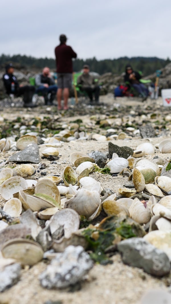 At a carefully protected location in B.C.’s Gulf Islands, Cowichan Tribes members are reviving the centuries-old practice of shellfish harvesting.