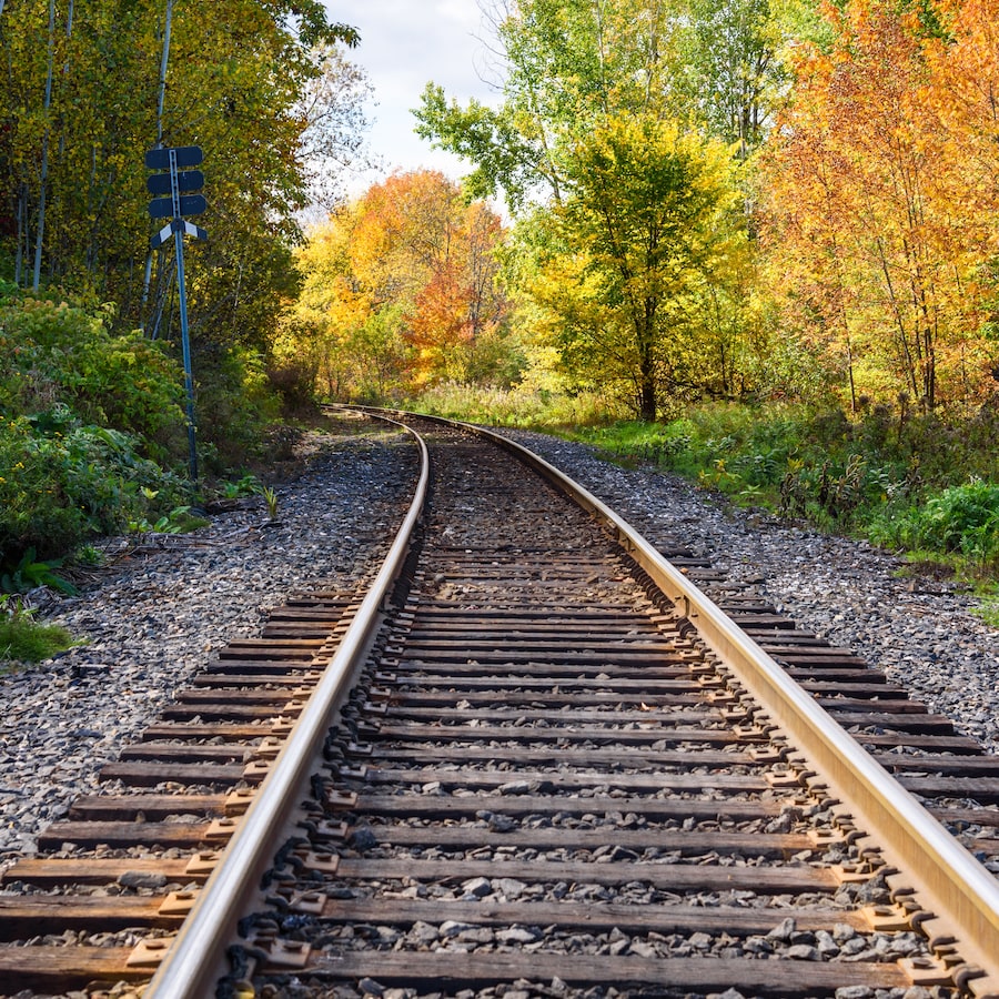 Railway tracks near Huntsville, Ont. 