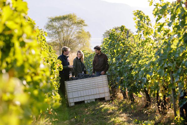 B.C. winery Osoyoos Larose. Credit: Jon Adrian