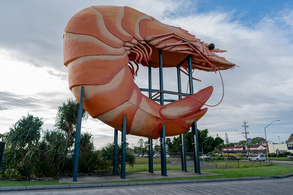 The Big Prawn, in Ballina, New South Wales.