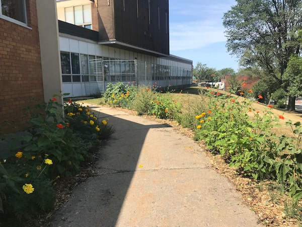 The Darlington Corridor, Montreal. Courtesy of Corridor écologique Darlington.