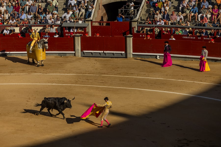 More than 20,000 fans fill Madrid’s famous Las Ventas bullring during the city’s annual San Isidro festival in June.