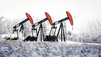 Pumpjacks draw out oil and gas on a frosty -25C day from wells head near Carstairs, Alta., Monday, Feb. 3, 2025. Canada has the third largest oil reserves in the world and is the world's fourth largest oil producer. THE CANADIAN PRESS/Jeff McIntosh