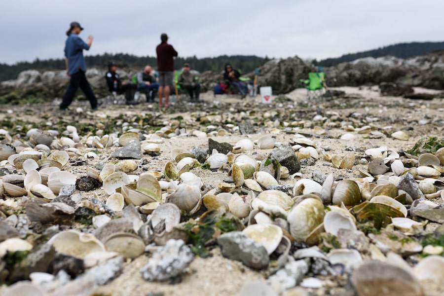 At a carefully protected location in B.C.’s Gulf Islands, Cowichan Tribes members are reviving the centuries-old practice of shellfish harvesting.