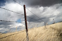 9185, 9190, 9194: Tumbleweed, barbed wire and a 1980s-era natural gas compressor station mark the spot on the Saskatchewan-Montana border where the Keystone XL pipeline route crosses into the U.S. on April 23, 2013 This spot has been central to the debate over Keystone XL, since the border crossing has necessitated the lengthy review in the U.S. by the Department of State and the White House. Keyston story
photo by Nathan VanderKlippe
