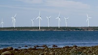 A wind farm operation owned by Emera.