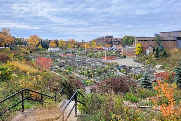 The Darlington Corridor. Credit: Caitlin Stall-Paquet