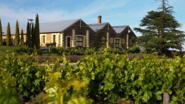 Wynn's Coonawarra winery and Sue Hodder portrait