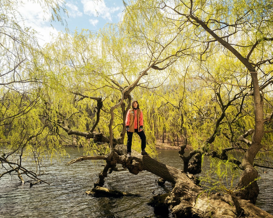 Emily Pleasance is among a growing community of forest bathing guides that are helping people slow down and get back in touch with nature.