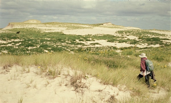 An image from the film "Geographies of Solitude" is shown in this undated handout photo. The film, directed by Jacquelyn Mills, has won top Canadian honours at the 2022 Hot Docs Film Festival. THE CANADIAN PRESS/HO-Hot Docs
**MANDATORY CREDIT**