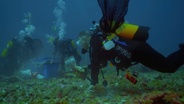 Outlaw Ocean scientists collect samples from the Saya de Malha Bank during a dive in 2022.