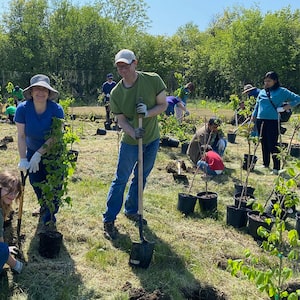 University Health Network employees plant trees to support environmental sustainability and community well-being.