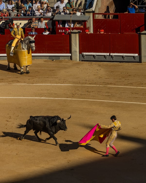 More than 20,000 fans fill Madrid’s famous Las Ventas bullring during the city’s annual San Isidro festival in June.